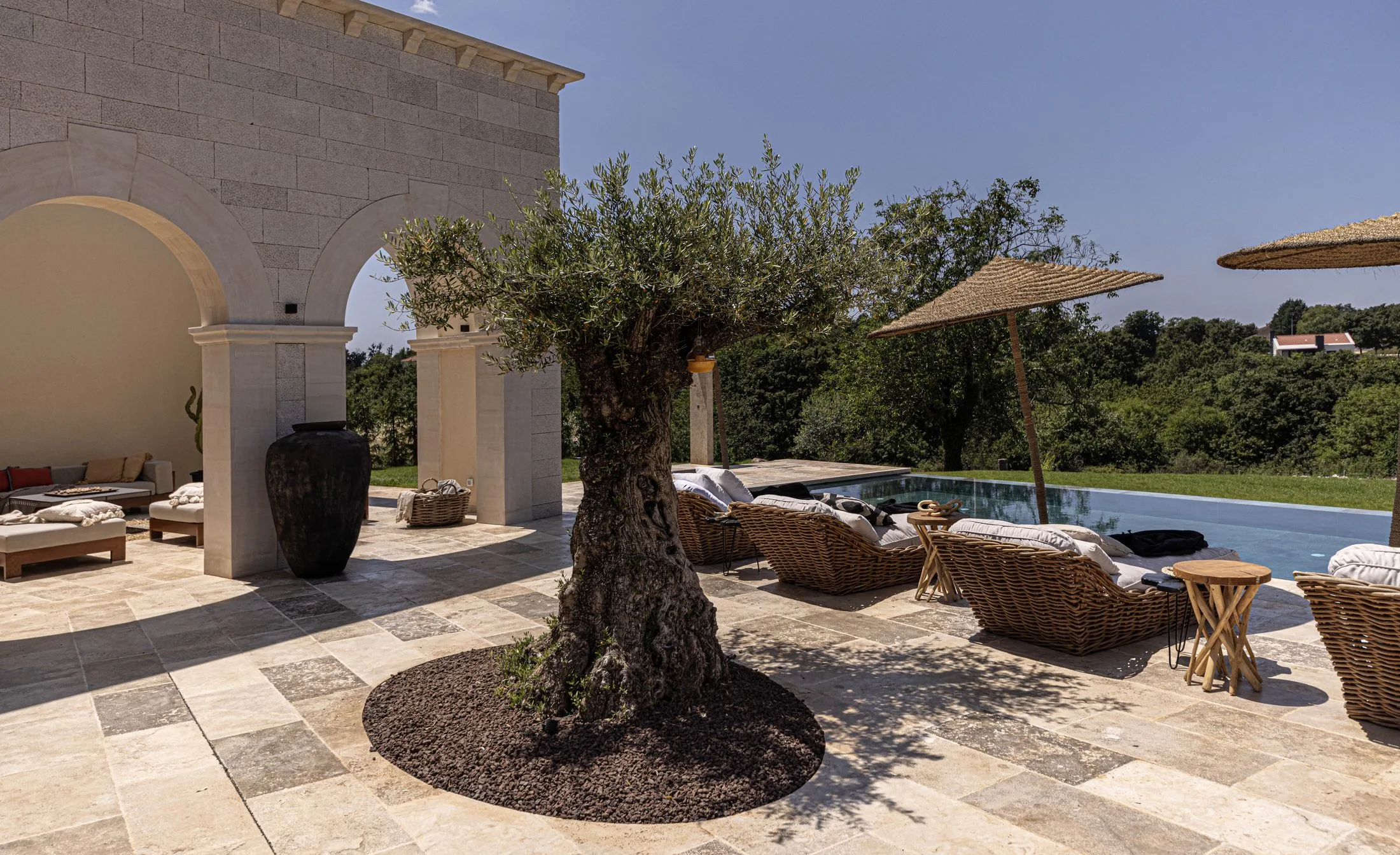 The terrace and olive tree at LaMaison